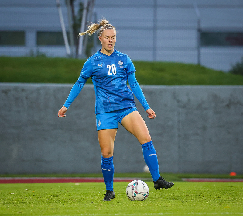 Myndaveisla 1: Holland vann Ísland á Laugardalsvelli