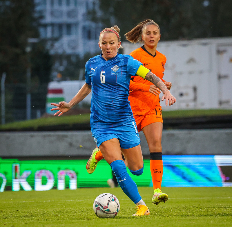 Myndaveisla 1: Holland vann Ísland á Laugardalsvelli