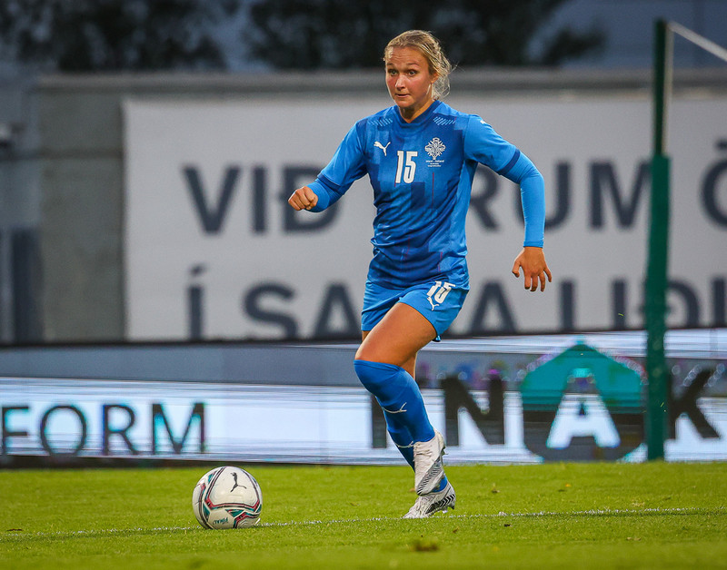 Myndaveisla 1: Holland vann Ísland á Laugardalsvelli