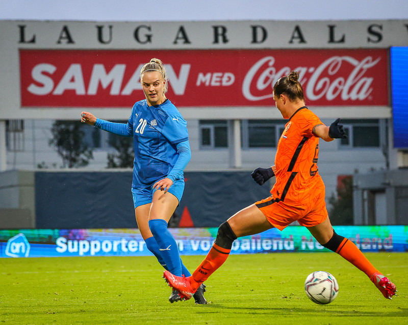 Myndaveisla 1: Holland vann Ísland á Laugardalsvelli