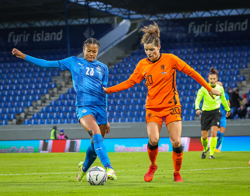 Myndaveisla 1: Holland vann Ísland á Laugardalsvelli