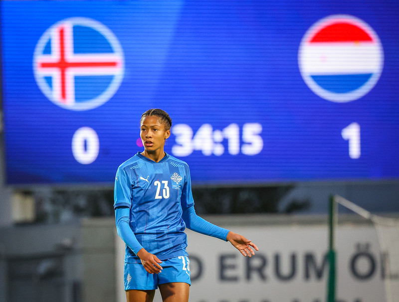Myndaveisla 1: Holland vann Ísland á Laugardalsvelli