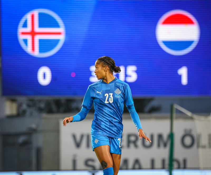 Myndaveisla 1: Holland vann Ísland á Laugardalsvelli