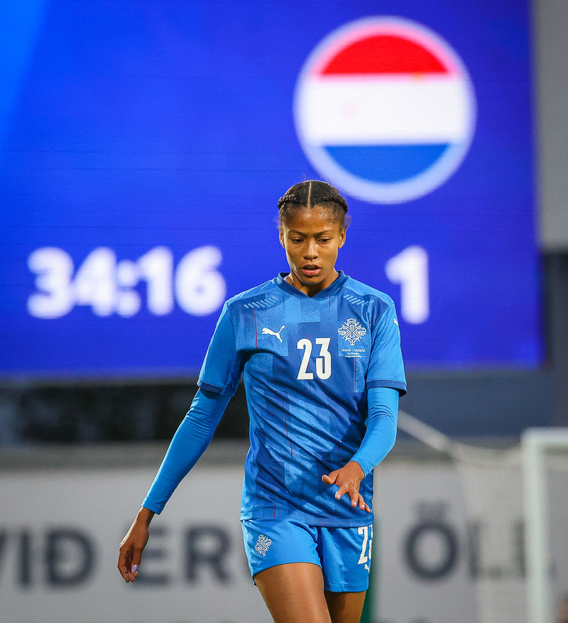 Myndaveisla 1: Holland vann Ísland á Laugardalsvelli