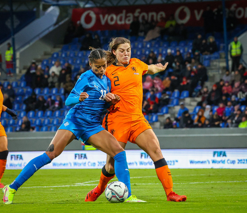 Myndaveisla 1: Holland vann Ísland á Laugardalsvelli