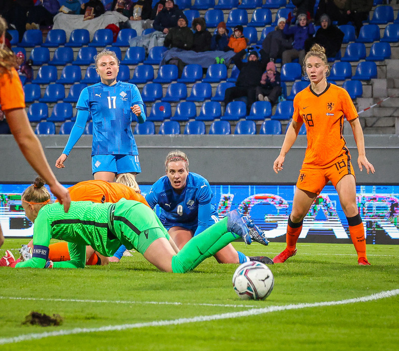 Myndaveisla 1: Holland vann Ísland á Laugardalsvelli