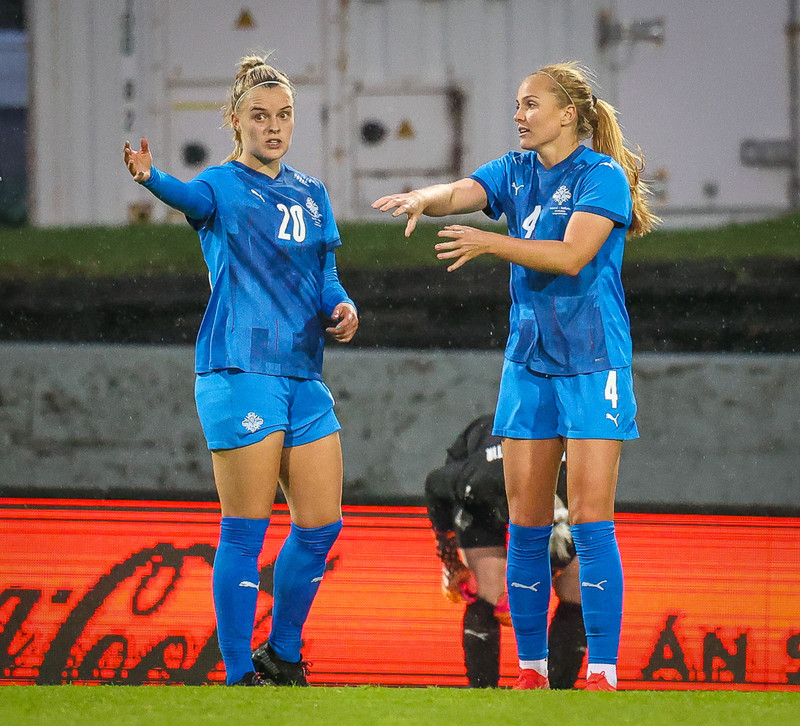 Myndaveisla 1: Holland vann Ísland á Laugardalsvelli