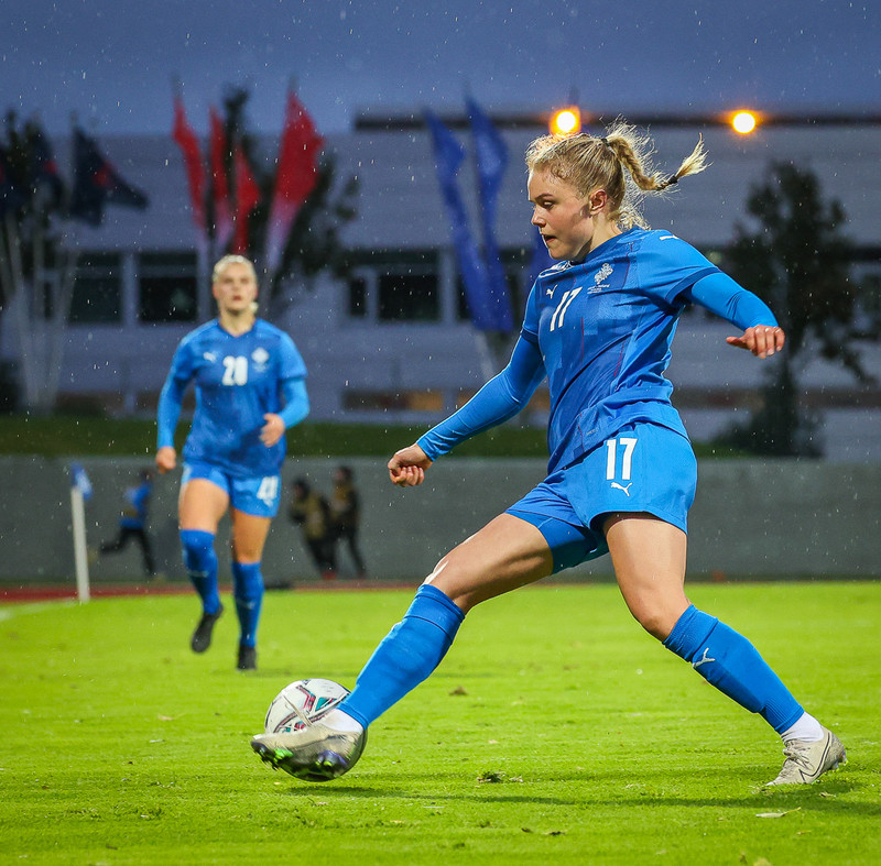 Myndaveisla 1: Holland vann Ísland á Laugardalsvelli