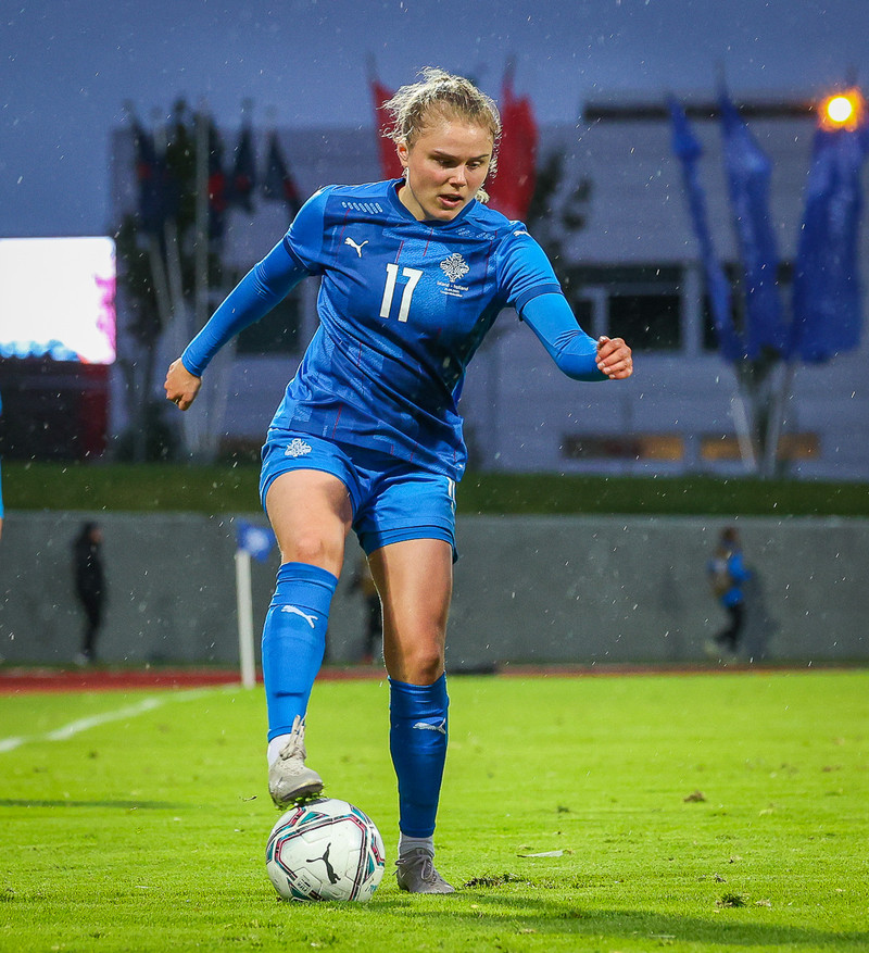Myndaveisla 1: Holland vann Ísland á Laugardalsvelli