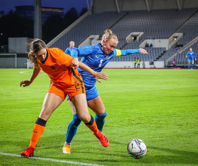 Myndaveisla 1: Holland vann Ísland á Laugardalsvelli