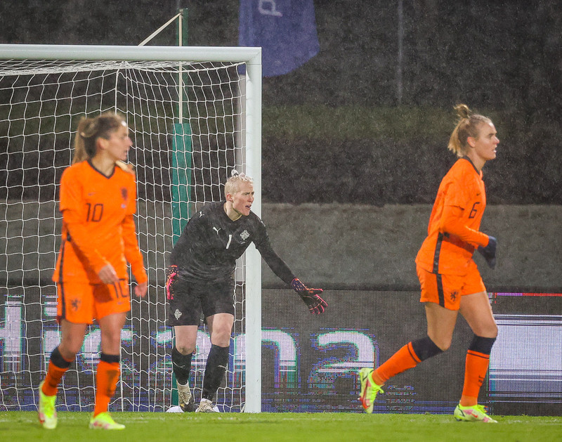 Myndaveisla 1: Holland vann Ísland á Laugardalsvelli