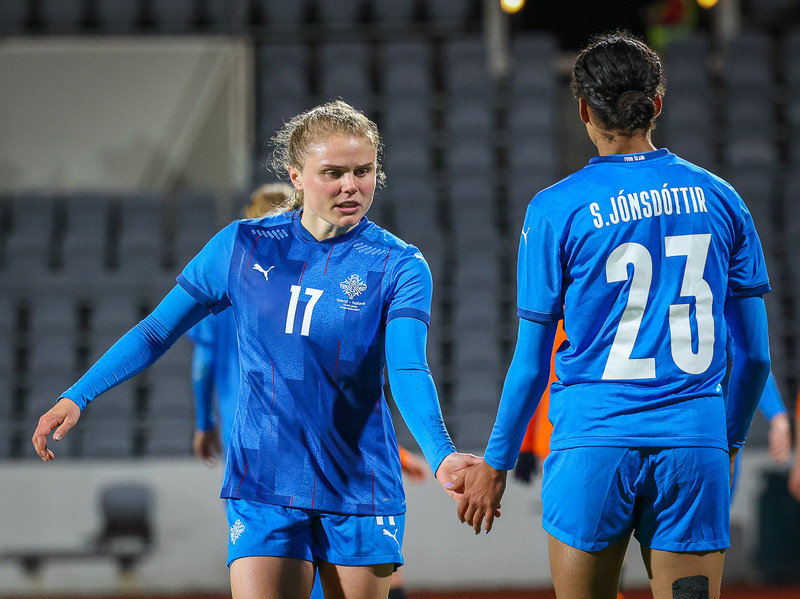 Myndaveisla 1: Holland vann Ísland á Laugardalsvelli