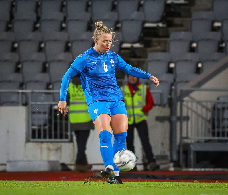 Myndaveisla 1: Holland vann Ísland á Laugardalsvelli