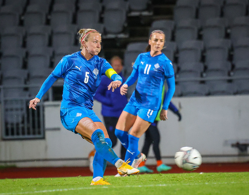 Myndaveisla 1: Holland vann Ísland á Laugardalsvelli