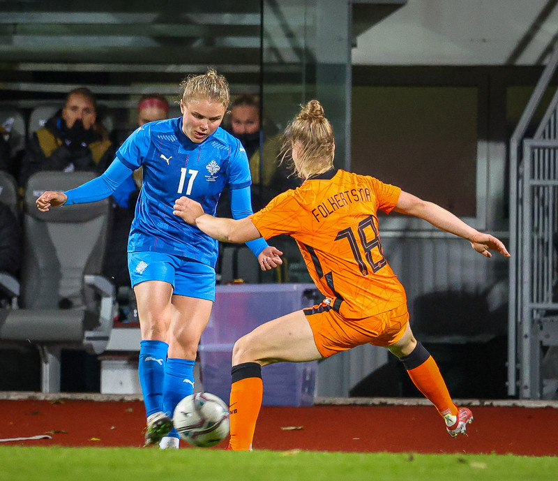 Myndaveisla 1: Holland vann Ísland á Laugardalsvelli