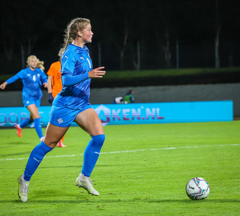 Myndaveisla 1: Holland vann Ísland á Laugardalsvelli