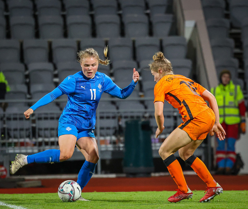 Myndaveisla 1: Holland vann Ísland á Laugardalsvelli