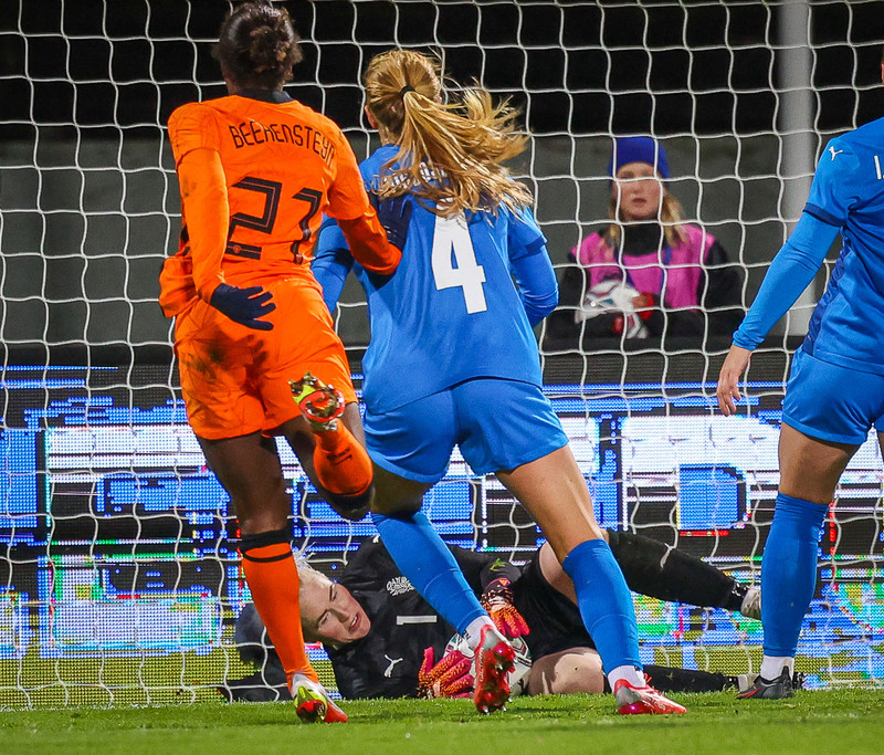 Myndaveisla 1: Holland vann Ísland á Laugardalsvelli