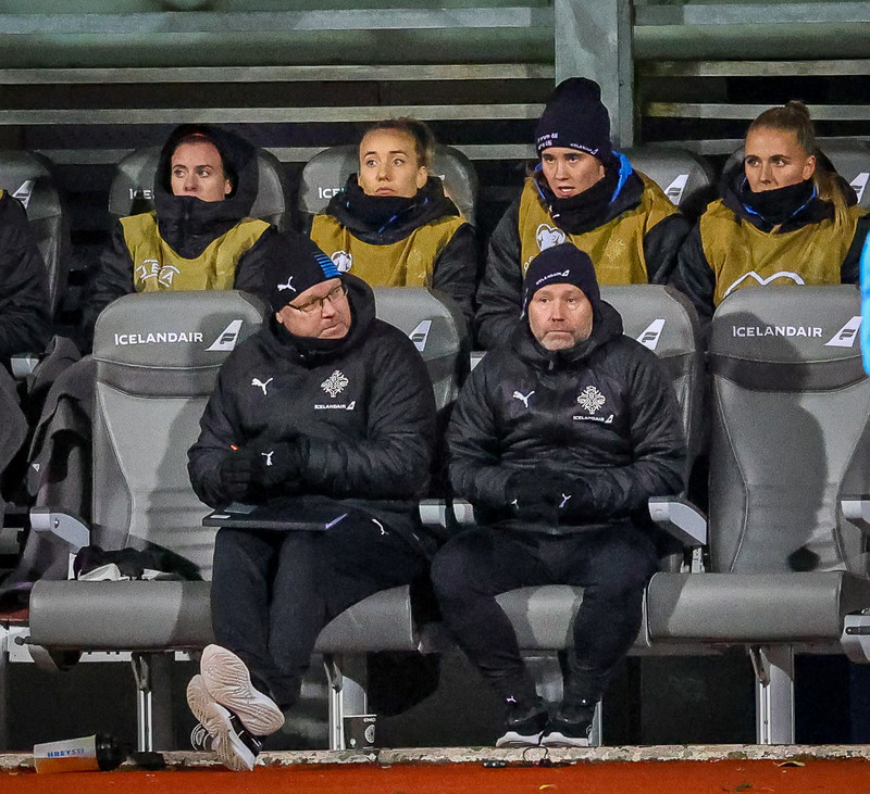 Myndaveisla 1: Holland vann Ísland á Laugardalsvelli