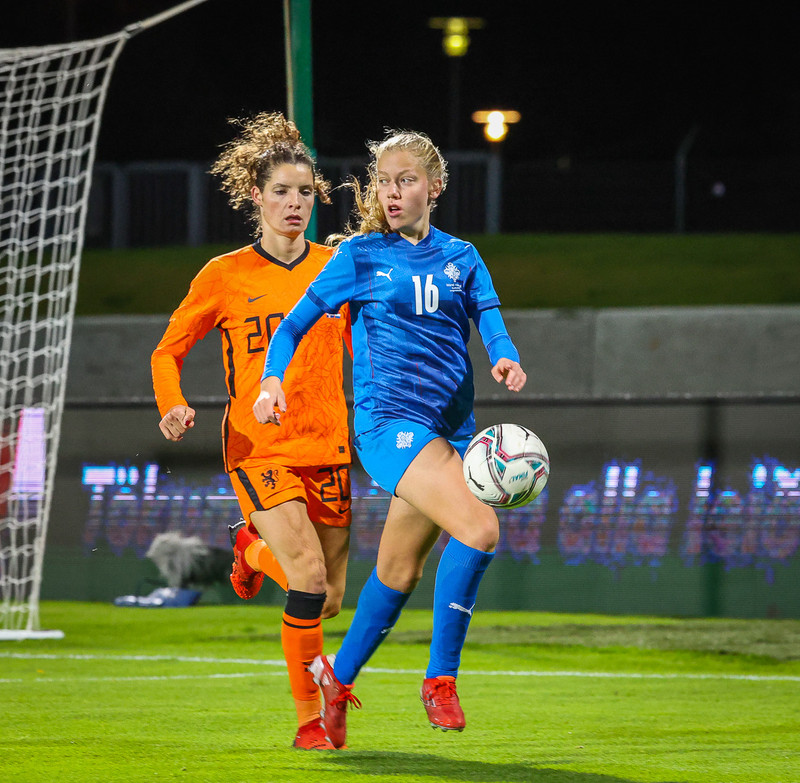 Myndaveisla 1: Holland vann Ísland á Laugardalsvelli