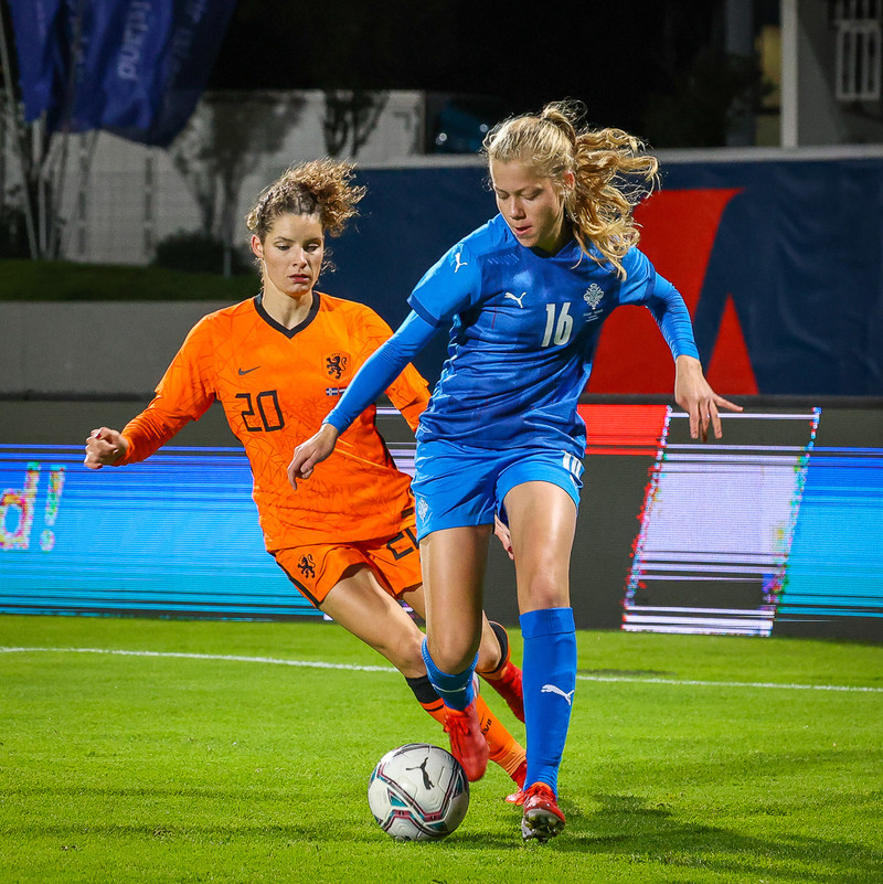 Myndaveisla 1: Holland vann Ísland á Laugardalsvelli