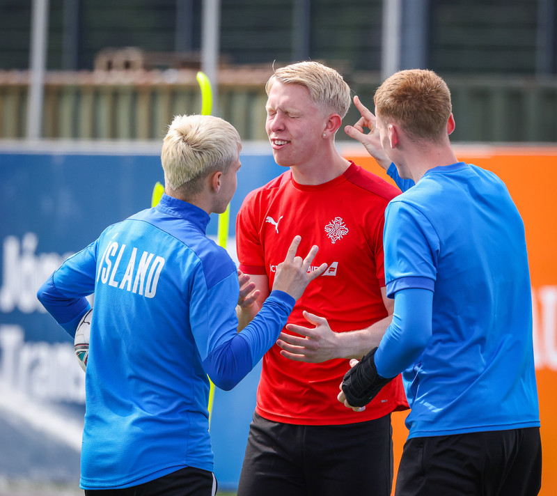 Pálmi Rafn lék alls 18 leiki fyrir unglingalandslið Íslands.