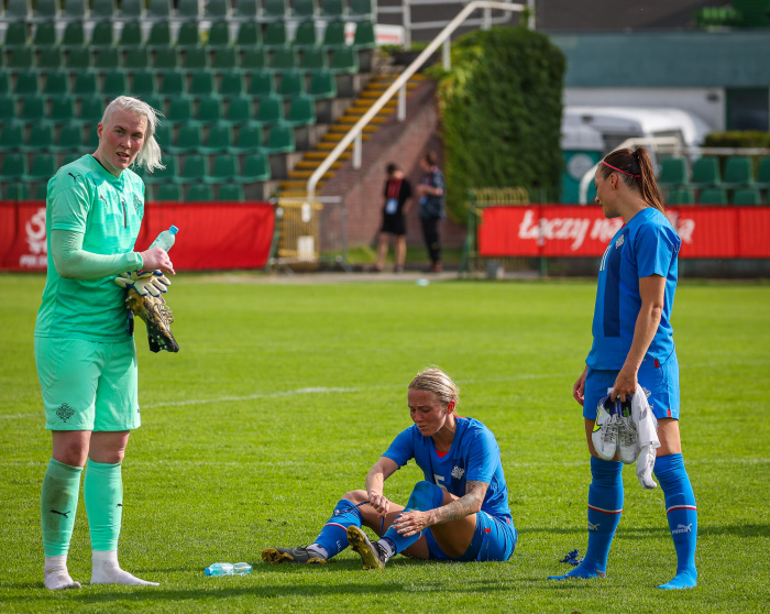 Ísland vann 1-3 sigur á móti Póllandi.