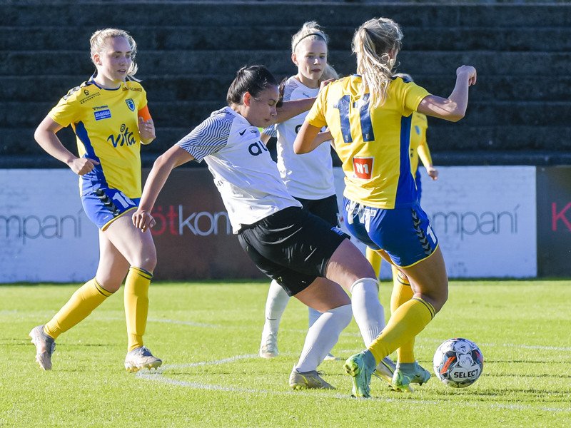 Myndaveisla: FH vann Fjölni í Kaplakrika