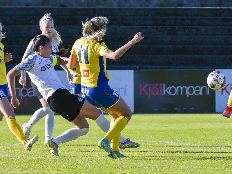 Myndaveisla: FH vann Fjölni í Kaplakrika