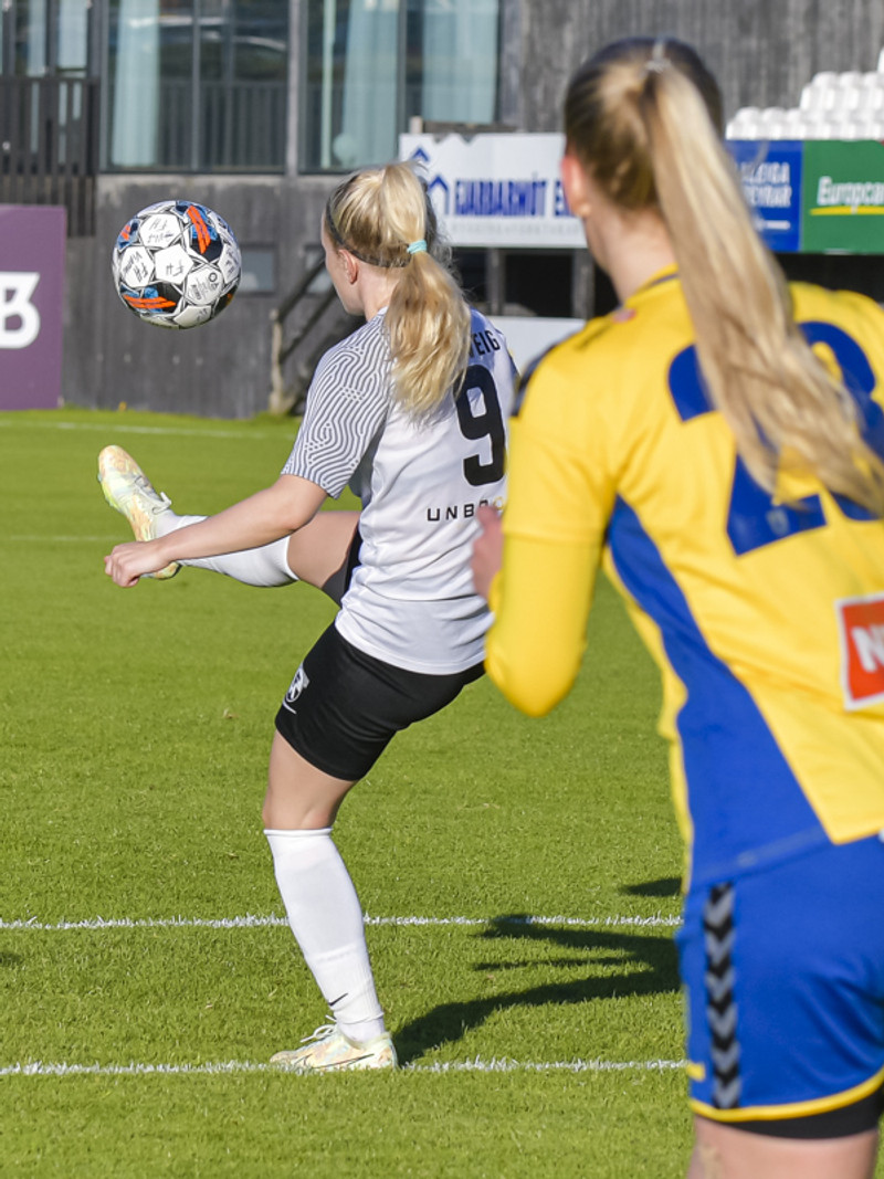 Myndaveisla: FH vann Fjölni í Kaplakrika