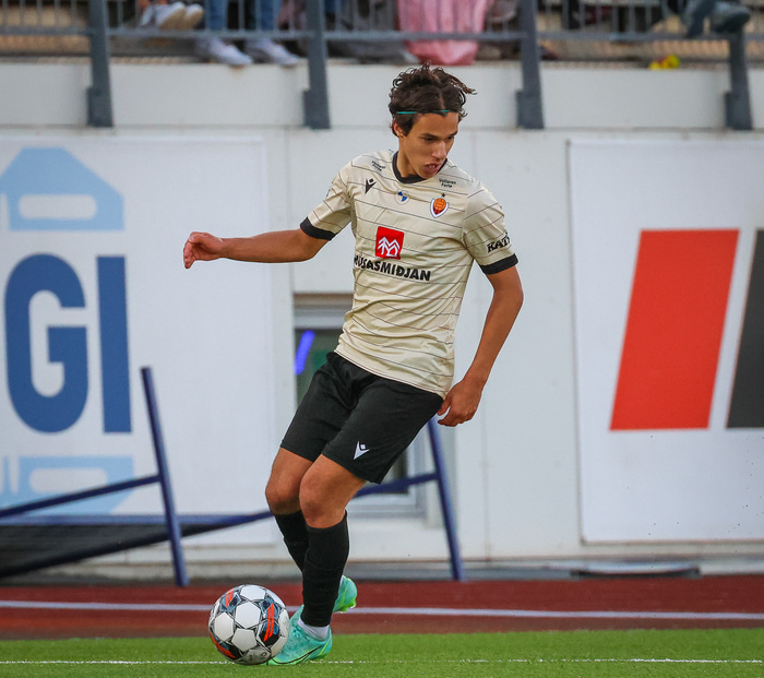 Danijel Dejan Djuric var öflugur í Víkingsliðinu