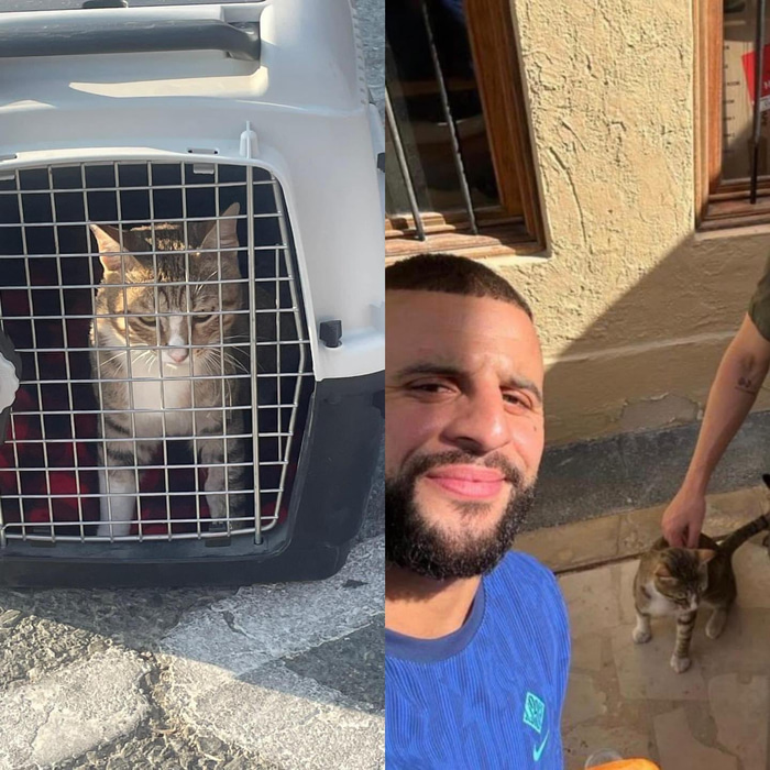 Kyle Walker með Dave