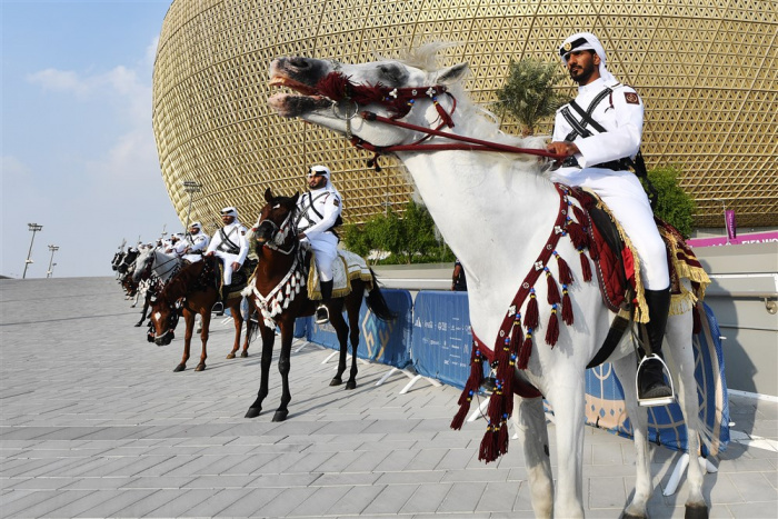Frá HM í Katar.