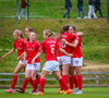 wÍBV - wValur