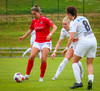 wÍBV - wValur