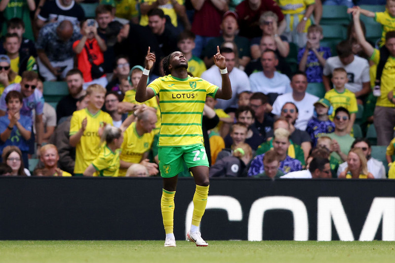 Marseille á eftir leikmanni Norwich