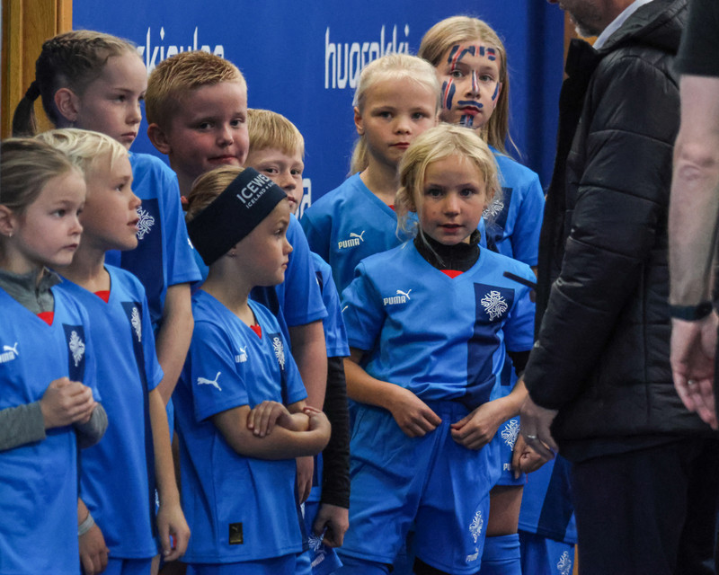 Myndaveisla 2 frá sigri Íslands á Wales í gær