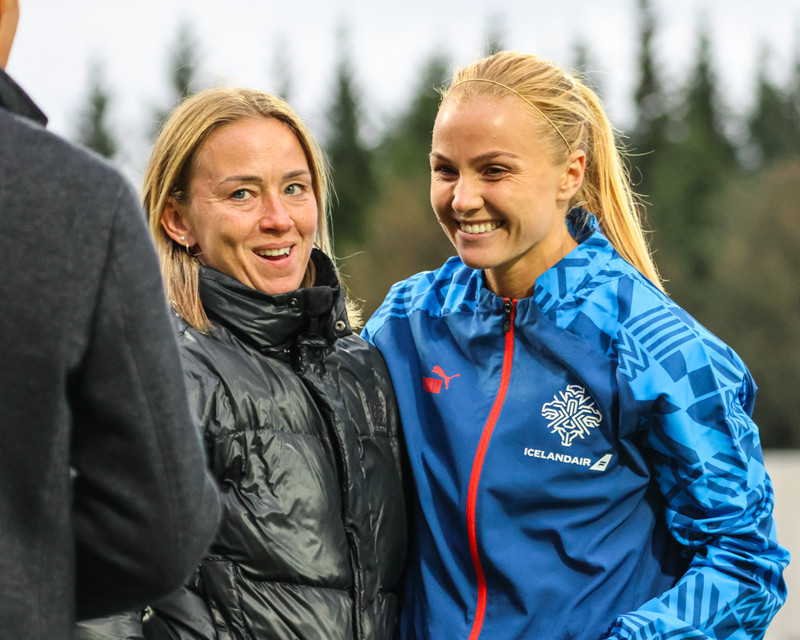 Myndaveisla 2 frá sigri Íslands á Wales í gær