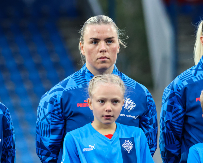 Myndaveisla 2 frá sigri Íslands á Wales í gær