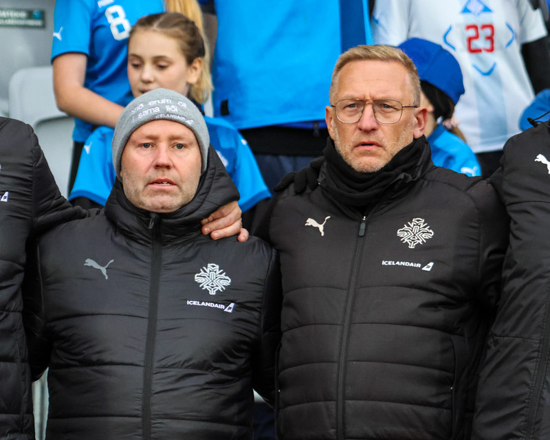 Myndaveisla 2 frá sigri Íslands á Wales í gær