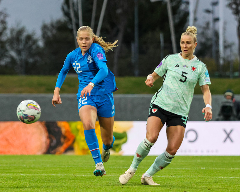 Myndaveisla 2 frá sigri Íslands á Wales í gær