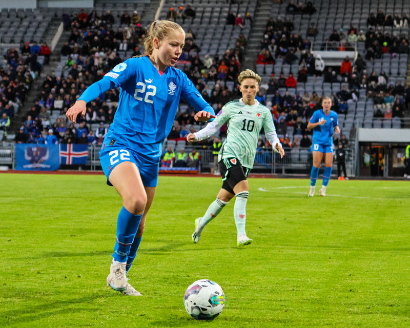 Myndaveisla 2 frá sigri Íslands á Wales í gær