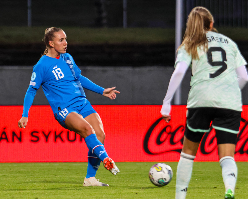 Myndaveisla 2 frá sigri Íslands á Wales í gær
