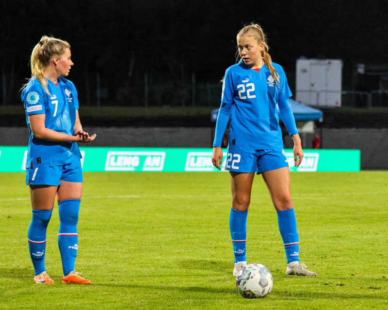 Myndaveisla 2 frá sigri Íslands á Wales í gær