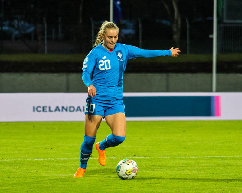 Myndaveisla 2 frá sigri Íslands á Wales í gær