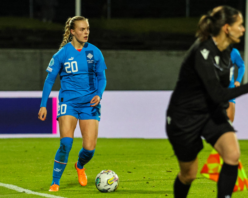 Myndaveisla 2 frá sigri Íslands á Wales í gær
