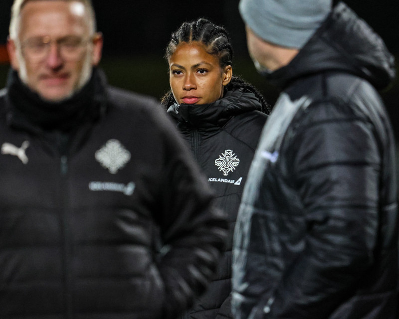 Myndaveisla 2 frá sigri Íslands á Wales í gær