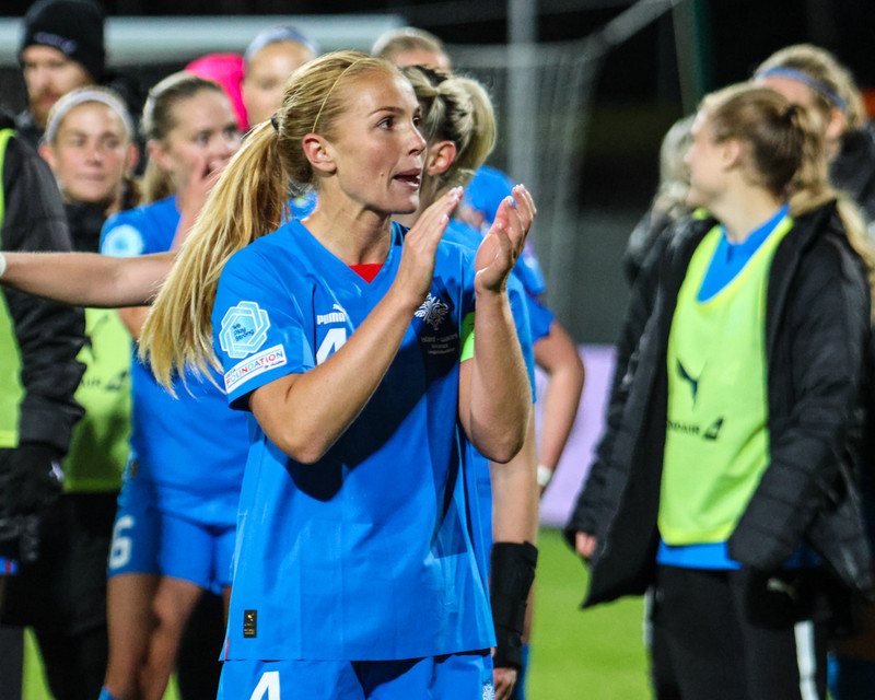Myndaveisla 2 frá sigri Íslands á Wales í gær
