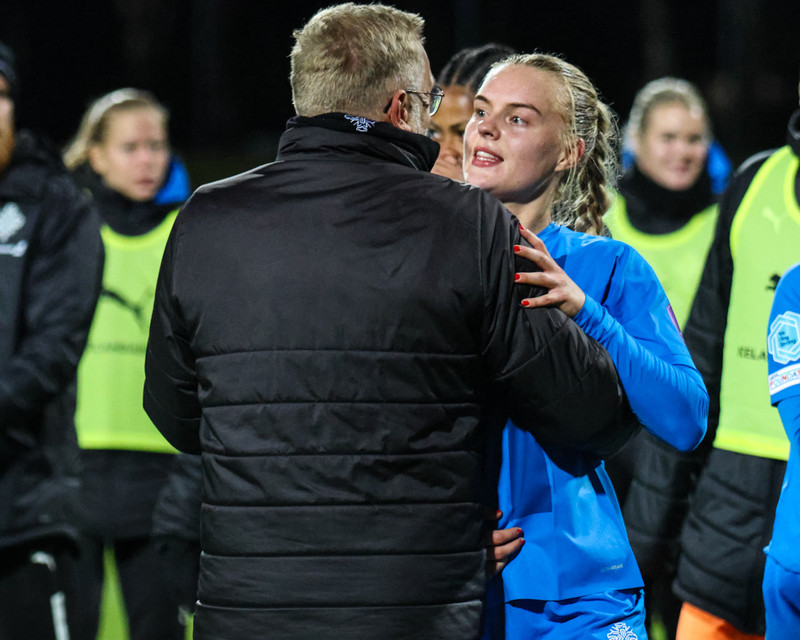 Myndaveisla 2 frá sigri Íslands á Wales í gær