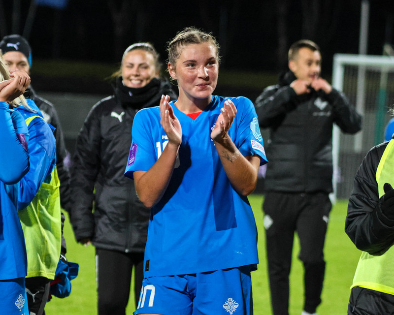 Myndaveisla 2 frá sigri Íslands á Wales í gær
